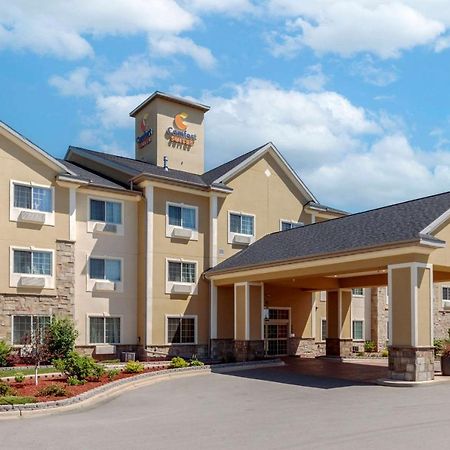 约翰逊克里克会议康福特套房酒店 Johnson Creek 外观 照片